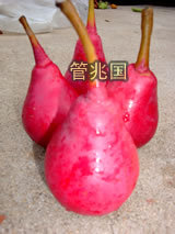 早熟红梨